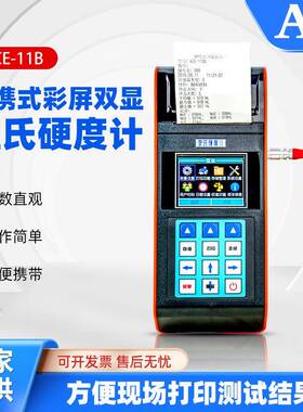 ACE1100手持便携式模具钢材数显里氏硬度计测试仪高精度