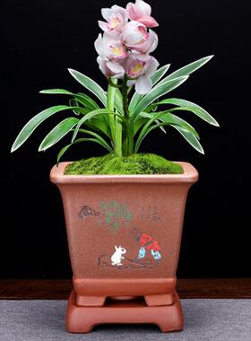 宜兴紫砂兰花盆带底座精品点彩四方法师蕙兰春兰吊兰客厅盆景