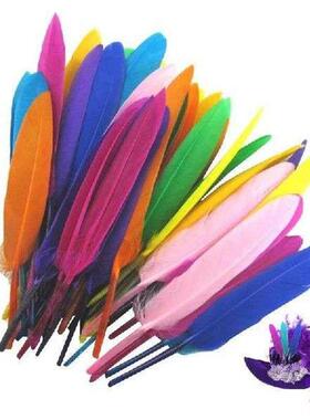 .Craft Feathers 50pcs/Set Colorful Feathers Colored Feather