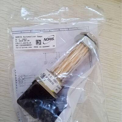 绿添科技供应德国NORIS Group限位开关 10097 RG51