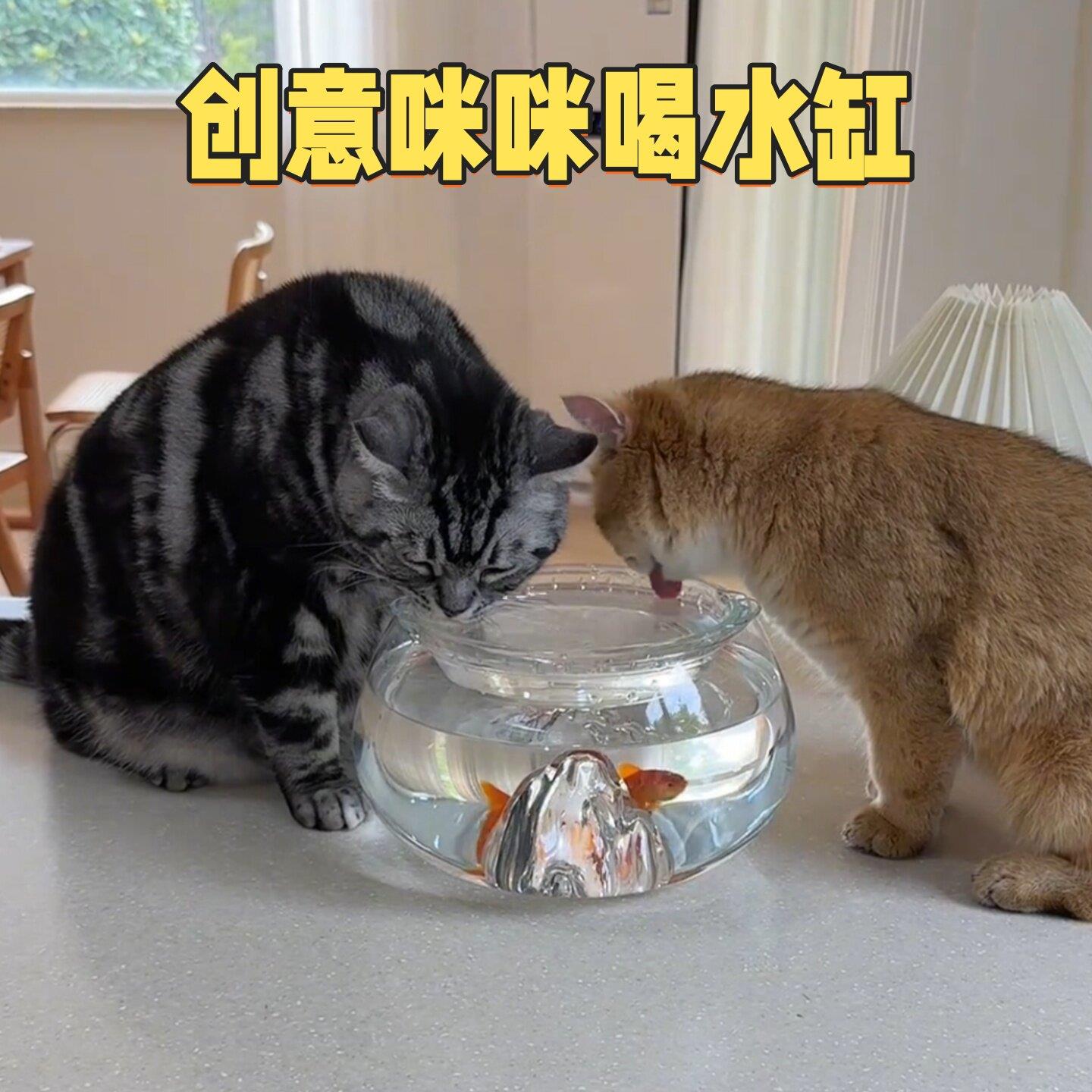 猫咪饮水机不插电不易打翻保护颈椎喂水器家用创意骗猫喝水饮水碗