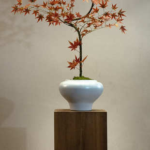 红色流泉枫仿真绿植高端轻奢新中式禅意茶室摆件玄关小型假花盆栽