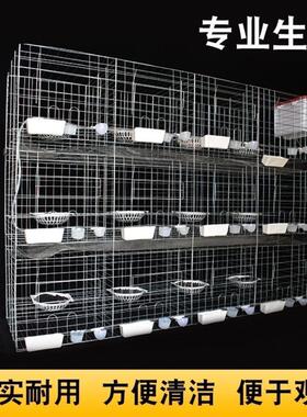 鸽笼养殖笼养鸽hbms5165子笼子1的6位肉笼种鸽繁殖12位配子对笼家