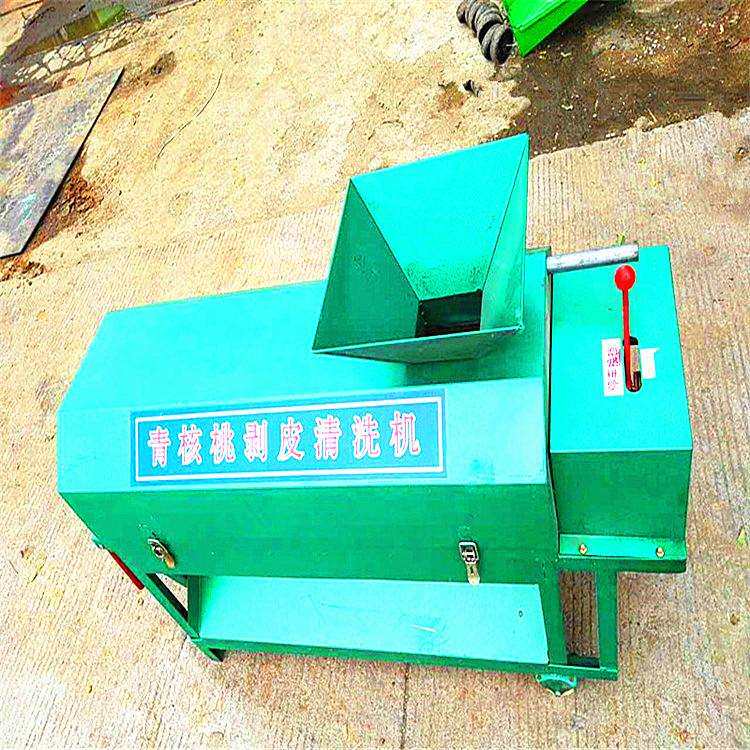 小型家用青核桃去皮机电动核桃脱皮清洗机鲜核桃剥青皮机扒皮机