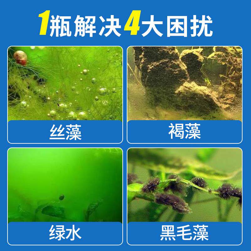 疯狂水草鱼缸除藻剂绿藻去苔剂青苔清除绿水褐藻丝黑毛藻之满