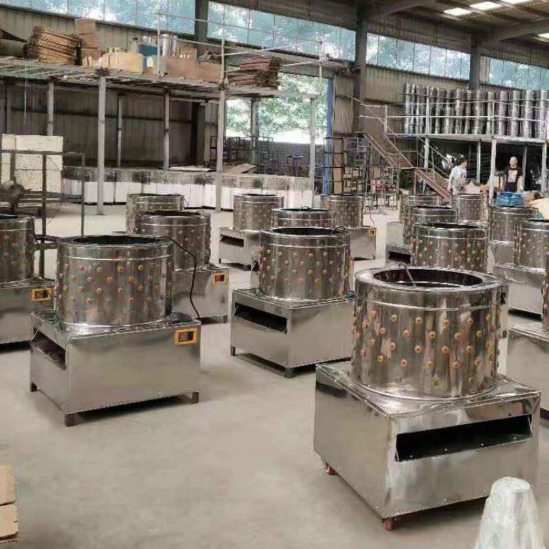 家禽鸡鸭鹅不锈钢自动去毛机50型60型脱毛机拔毛机退毛机鹌鹑麻雀