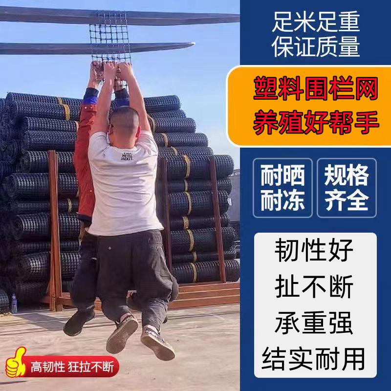 加厚塑料网格拦鸡鸭养殖户外家用阳台防护隔离栅栏特厚玉米围栏网