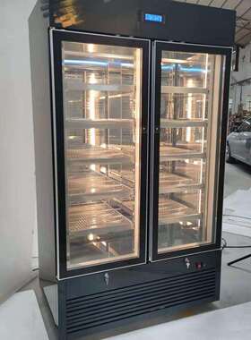 商用西餐牛排柜 牛牛排熟成肉 干湿冷保藏鲜557冷冻柜展示排酸柜