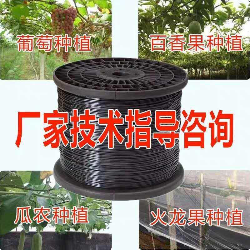 Y高度塑钢线聚酯线托幕线大棚压膜线遮阳网支撑百香果搭架子拉直L