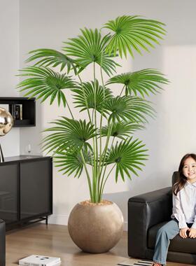 彷真绿色植物加州蒲葵沙发边室内装饰假植物高端轻奢室内大型彷生