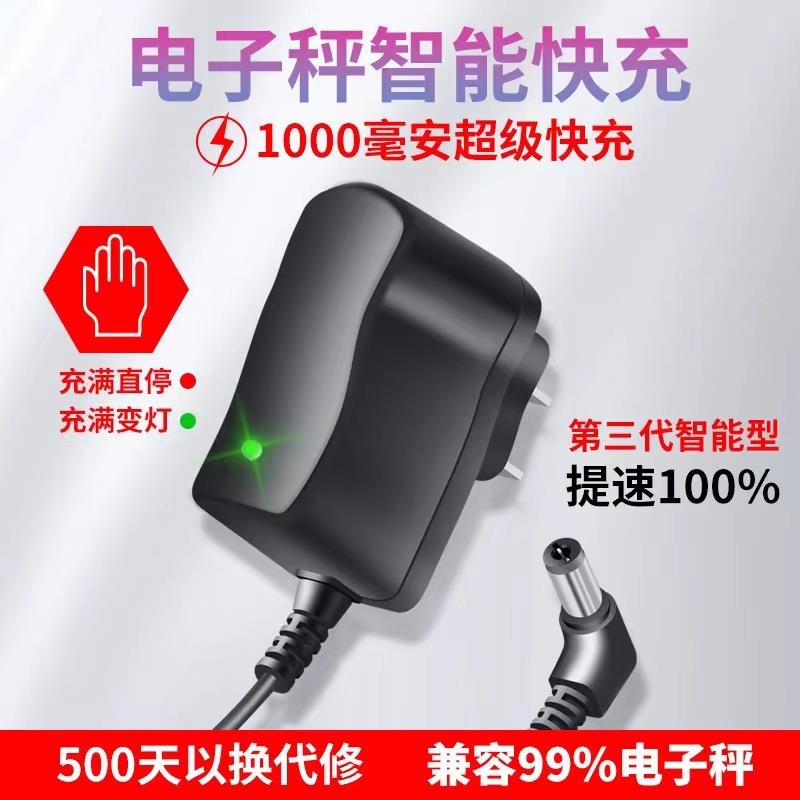 ACS-30型电子计价秤充电器220V 50Hz大阳/华鹰衡器充电器圆孔通用