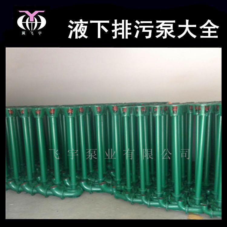 50NWL立式污水泵 2寸长杆泵 高扬程杆泵液下排污泵 1.1KW污泥泵