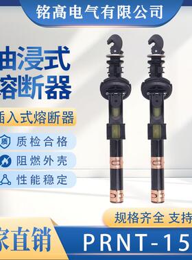 美式箱变油浸式插入式熔断器PRNT-15.5KV熔断器支架双敏熔断电子
