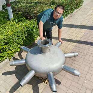 不锈钢碟式曝气器 尺寸600-500 型号ds150 枣强蓝宝 材质304耐腐