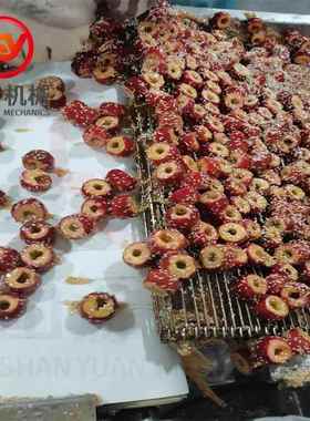 SY-600型山楂球上糖稀机 自动化裹糖浆机器 小麻花上糖浆流水线