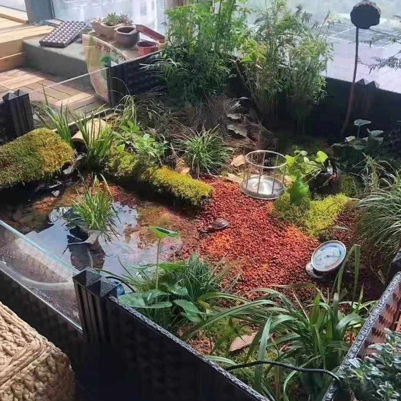 黄缘龟饲养缸环境造景安缘闭壳龟台缘专用养殖箱生态植物垫材龟箱