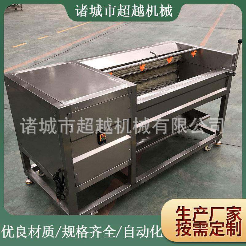 鲜核桃清洗机胡桃 碧根果清机毛辊洗清去HKP皮设备土豆清洗机洗新