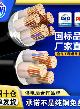 国标YJV22纯铜芯2 3 4 5芯10 16 25 35 50平方三相电线铠装电缆线