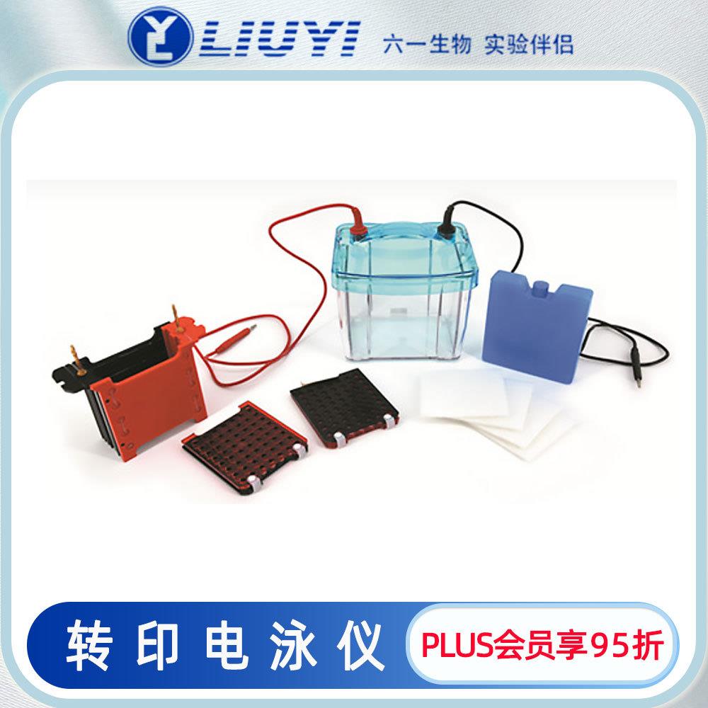 北京六一转印电泳仪DYCZ-40G适用WB实验DYCZ-25D配套使用