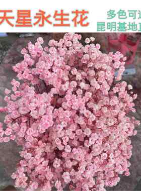 新款直销永生花满天星母亲节情人节礼物地摊干花花束伴手礼手工材