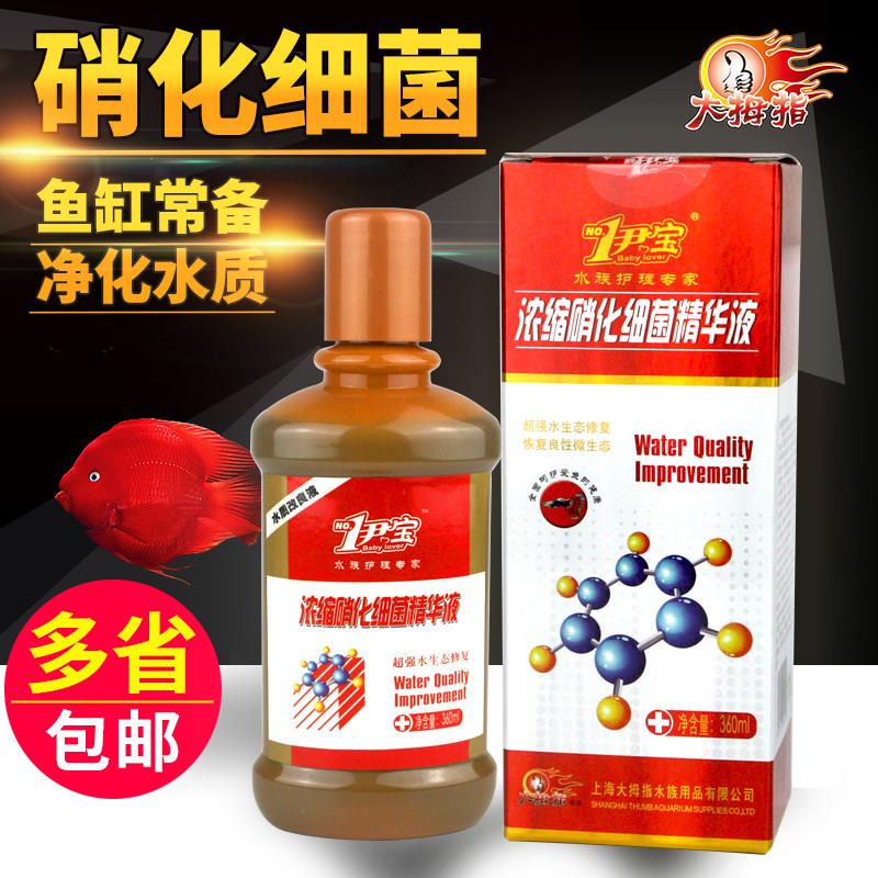 正品大拇指伊宝全效护理水硝化细菌水质澄清剂稳定精华液水360ml