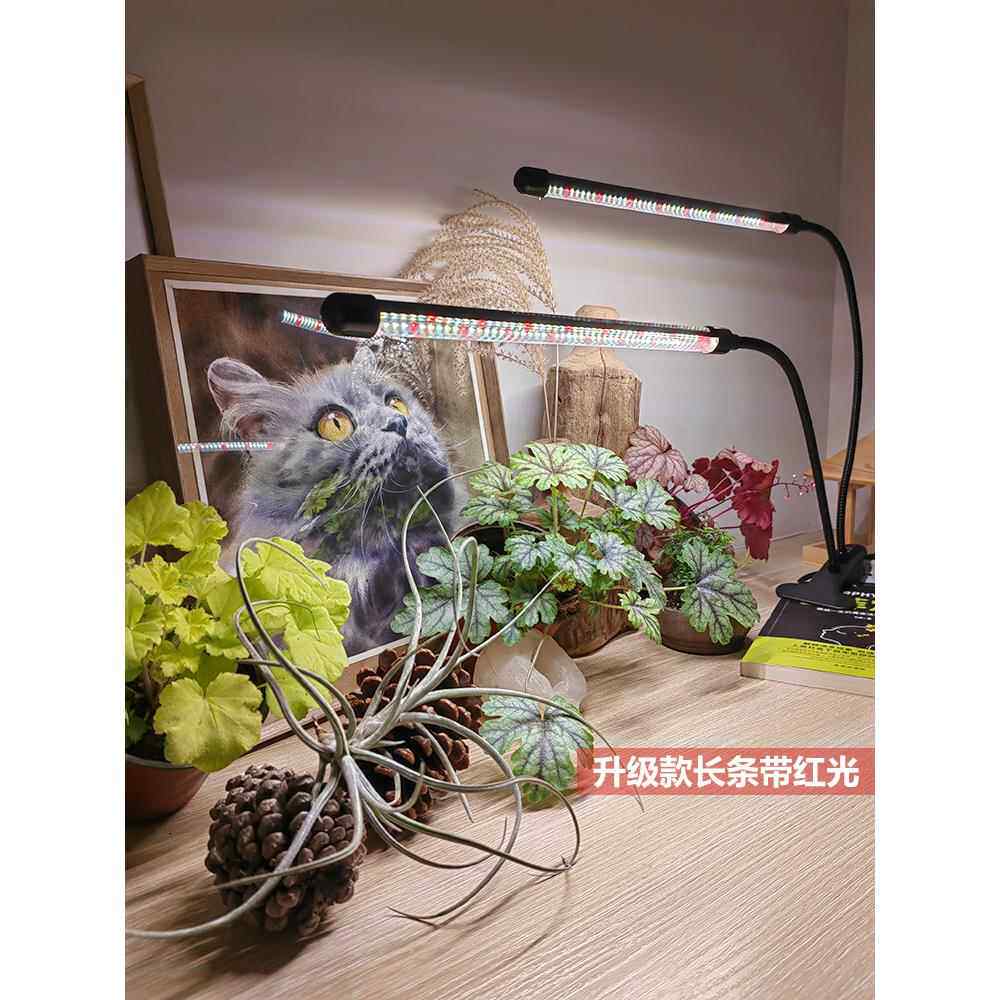 植物填充灯植物生长灯室内Led全光谱日光USB多肉光色彩增强植物灯