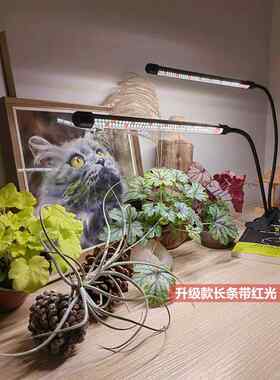 植物填充灯植物生长灯室内Led全光谱日光USB多肉光色彩增强植物灯