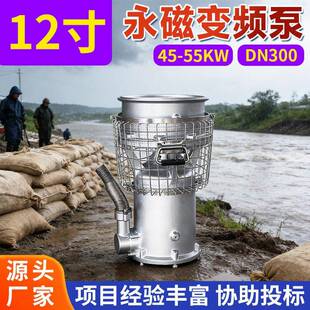 永磁变频防汛泵大流量抗涝抢险救援排灌变频泵扬程永磁轴流泵