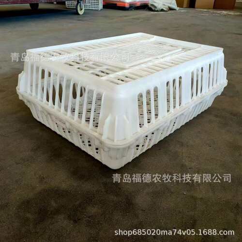 塑料鸡笼子 鸡鸭鹅家禽运输周转筐 纯新料制作 塑料鸡笼子