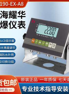 上海耀华XK3190-EX-A8不锈钢本安型防爆仪表防爆电子秤仪表显示器