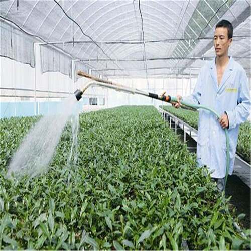 农用蔬菜大棚 薄膜连栋温室 日光大棚 大棚骨架 温室设备