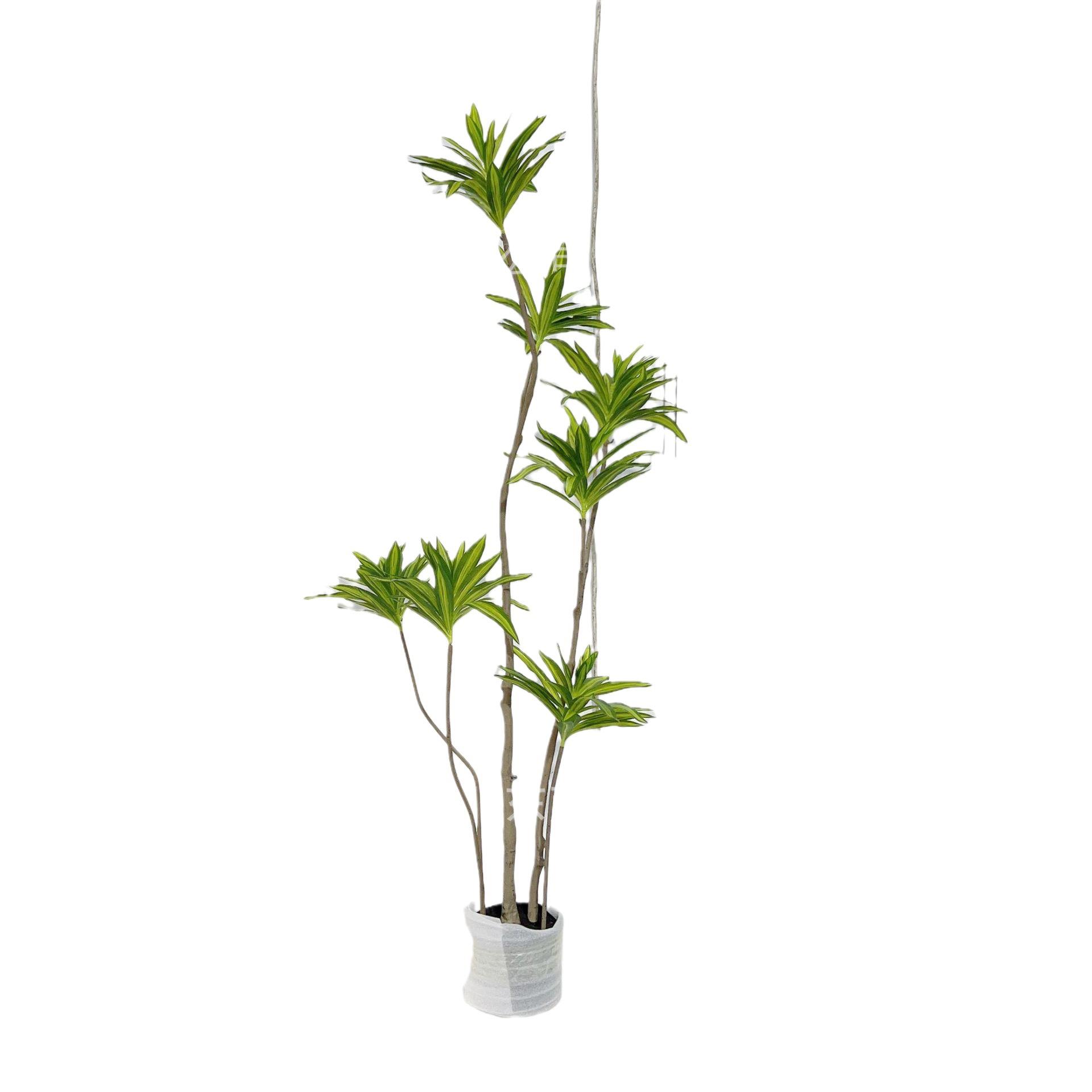 加密仿真绿植百合竹仿生植物可弯曲造型绿植景观室内客厅装饰百合