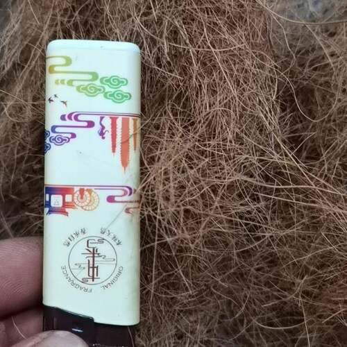短椰棕丝泥炭土花卉盆栽种植用种植土园林绿化栽培基质营养土
