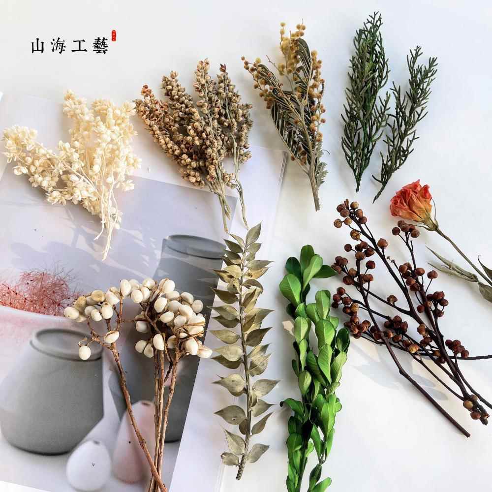 天然植物发财果果干干花干树枝干花材料花材拍照DIY手工材料摆设
