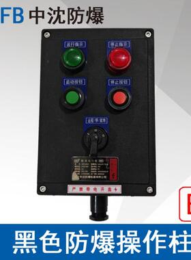 中沈LBZ58A2D2K1防爆操作柱2指示灯2按钮1开关防爆防腐操作控制箱