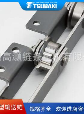 TSUABKI椿本链条重型输送轴承滚子RF12200BF-DT-1LA2-ATK