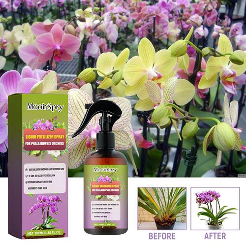 MoonSpry Phalaenopsis Fertilizer Spray - Nutrient Supplement