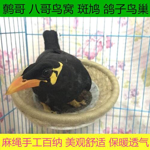 鸟窝鸟巢 八哥鸟窝鸟巢 鹩哥鸟窝鸟巢 斑鸠鸟窝 蜡嘴鸟窝鸽子窝