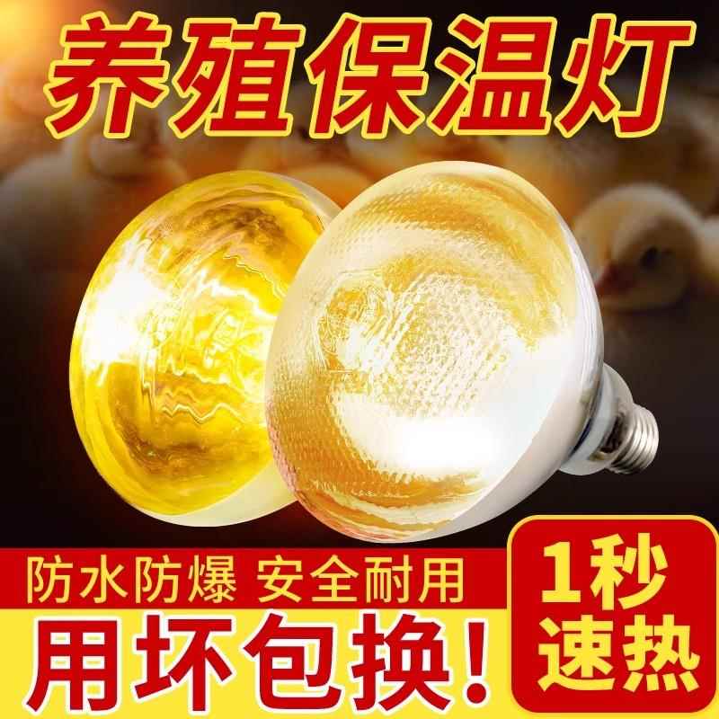 保温灯养殖场专用加厚猪仔红外线 线取暖保暖灯泡兽用烤灯猪夏季