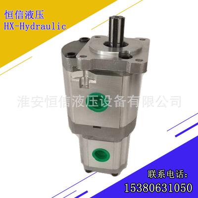 齿轮泵CBQ高压齿轮泵合肥齿轮泵双联泵钻机油泵转向助力泵