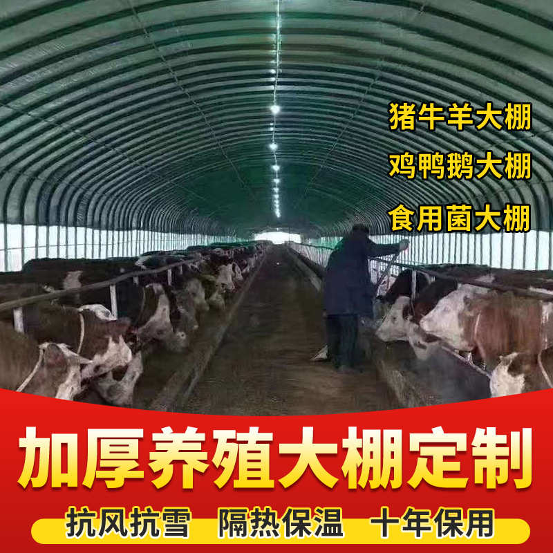大棚钢管骨架温室蔬菜种植养殖大棚全套椭圆管牛羊圈猪舍鸡棚钢架