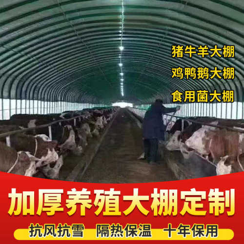 大棚钢管骨架温室蔬菜种植养殖大棚全套椭圆管牛羊圈猪舍鸡棚钢架