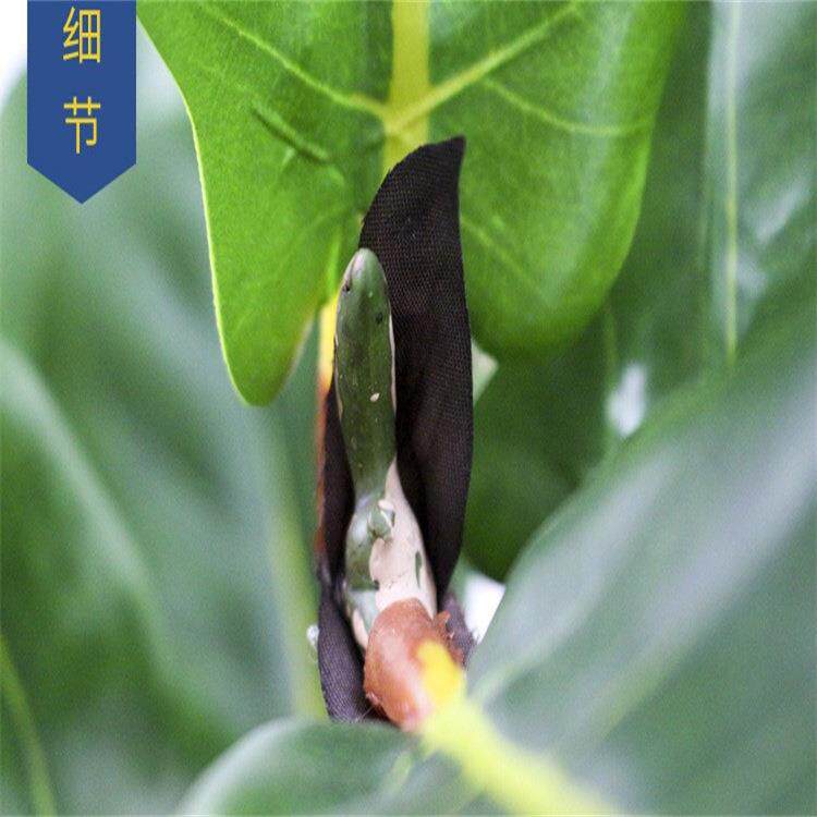 仿真琴叶榕 绿植物盆栽室内人造假树盆景居家办公装饰150cm高