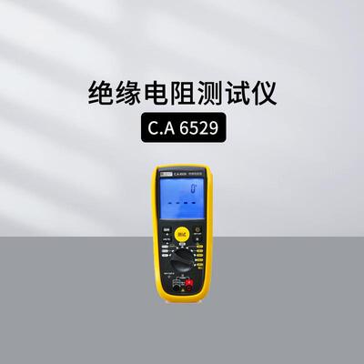 法国CA CHAUVIN ARNOUX绝缘电阻仪CA6529 1000V绝缘电压