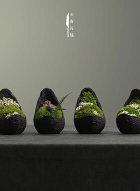 天青苔绿 新中式永生苔藓微景观 样板间家居儿童房桌面迷你小摆件