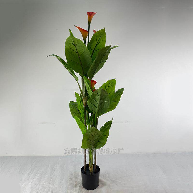 东莞供应仿真万年青白掌观叶植物假绿植盆栽过胶叶子花树