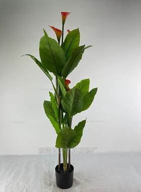 东莞供应仿真万年青白掌观叶植物假绿植盆栽过胶叶子花树