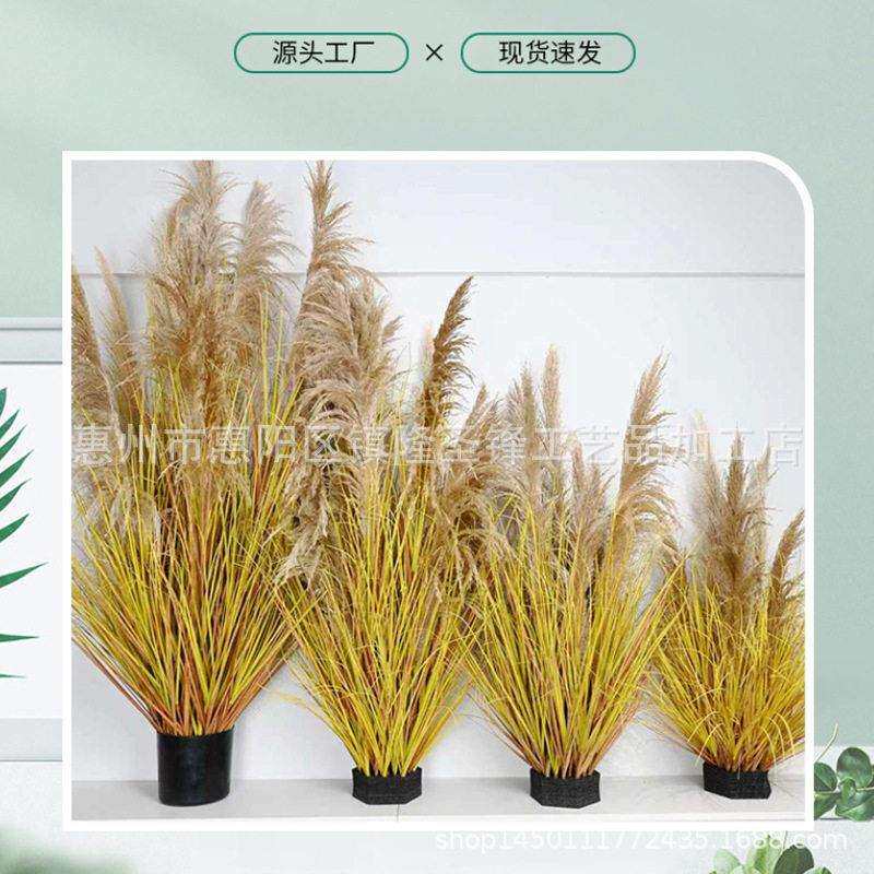 仿真绿摆植芦苇草堆假橱花盆栽狗尾草盆商场48/45615窗植物造景家