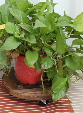 可移动厚实花托万向花架装饰摆件