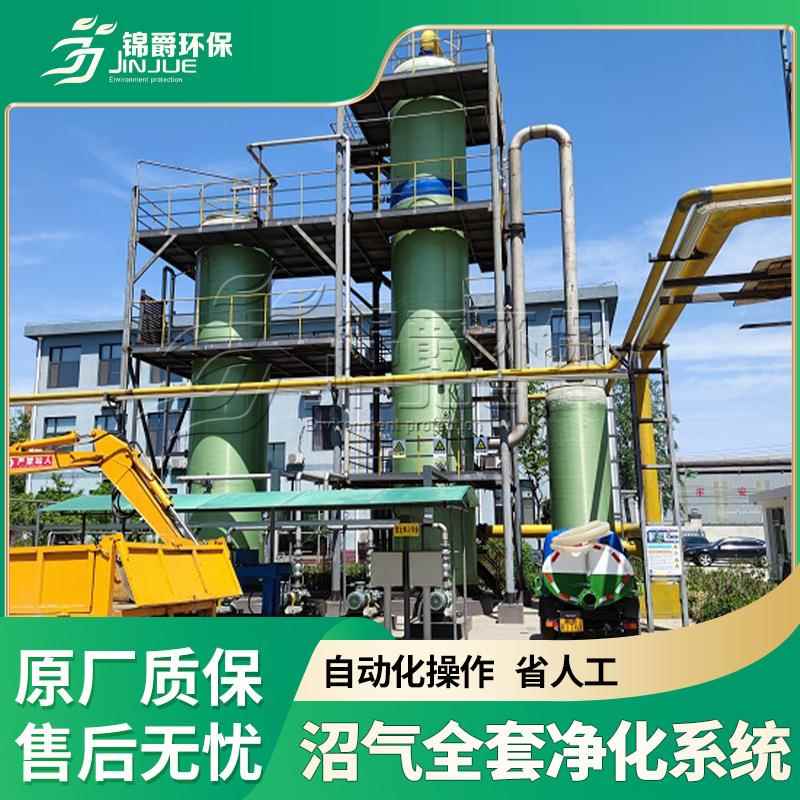 沼气全套干法净化罐沼气净化脱硫设备小型沼气脱硫器微型家用
